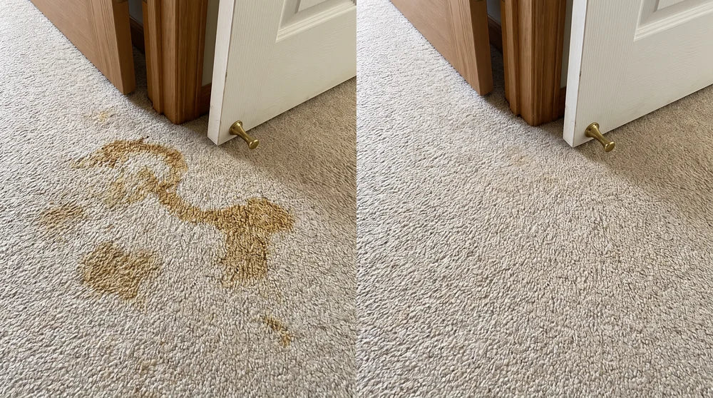 Antes y después SrFirulais — alfombra