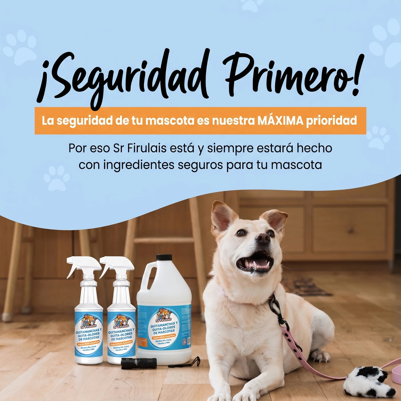 Seguridad primero: ingredientes seguros para tu mascota