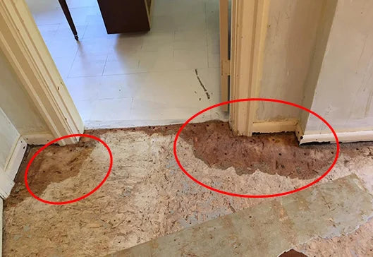 El contrapiso pudriéndose por debajo